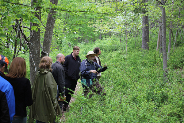 Foraging with Steve Brill